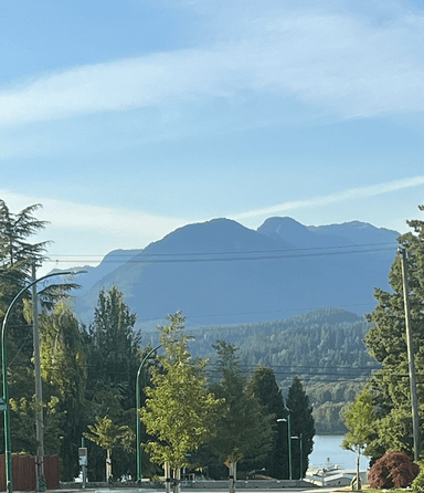 Picture of WL